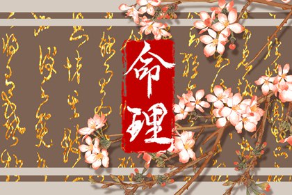 八字计算方法,真问八字排盘,八字盘找东西,卦先生看八字,八字查小人免费